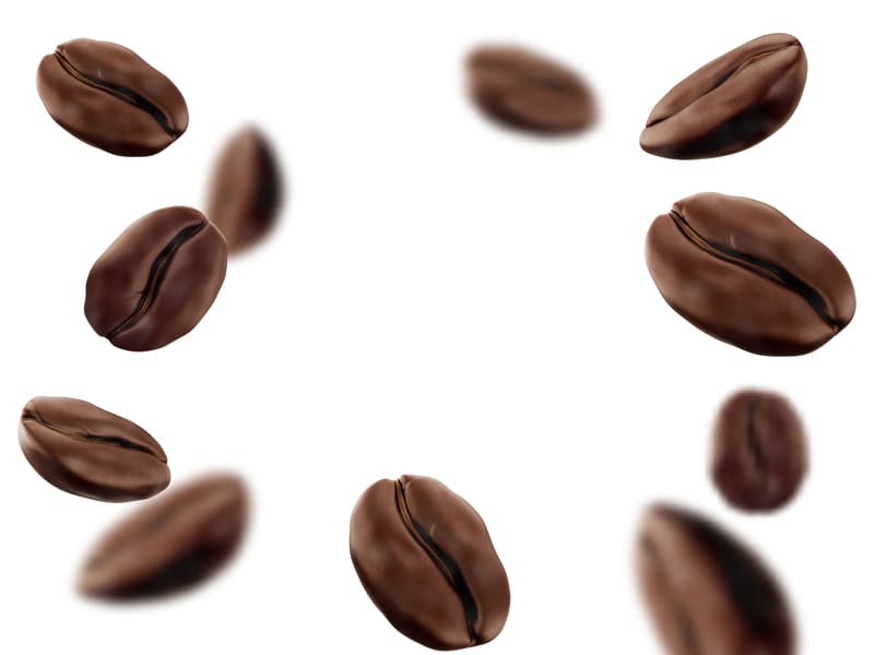 usaha kopi sangrai rumahan