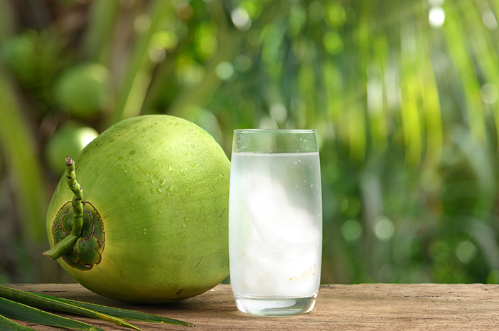 ide bisnis dari kelapa