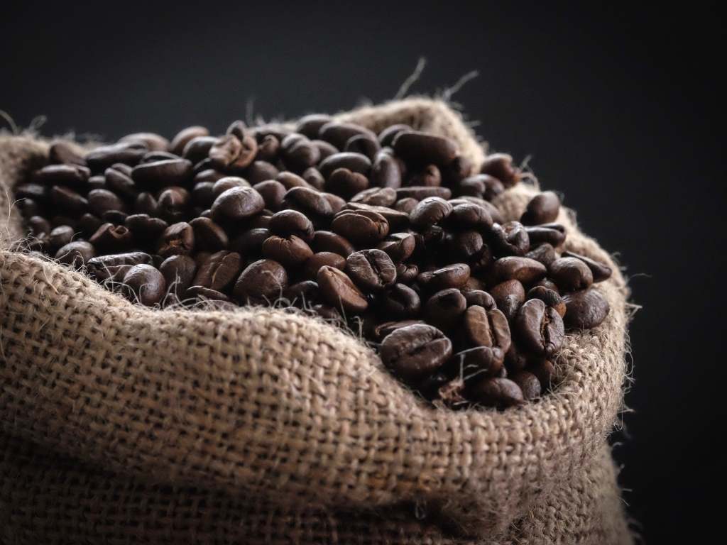 cara meraawat mesin grinder kopi