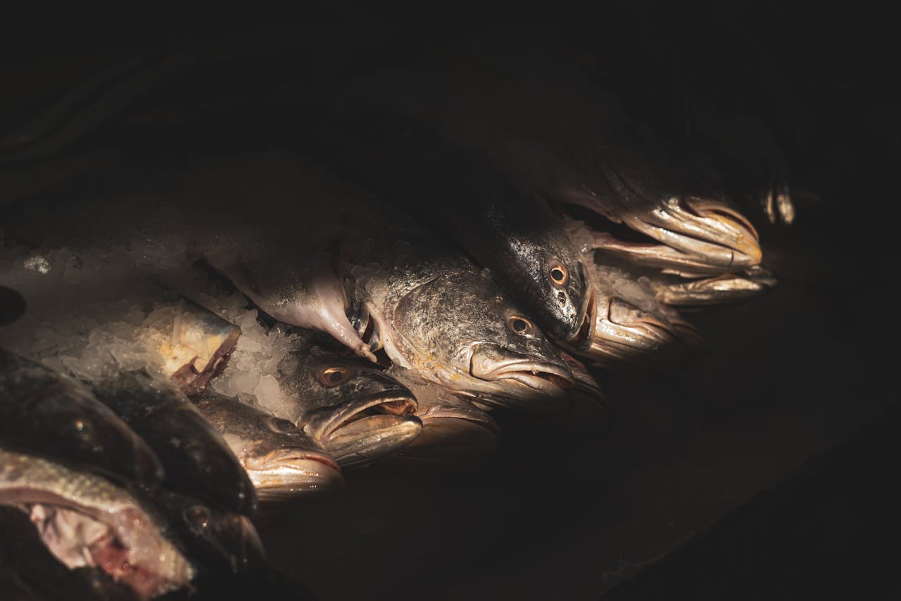 fakta gizi ikan bandeng