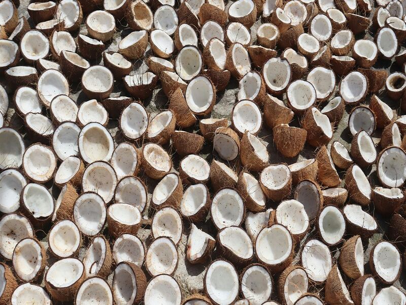 alat pengering kopra sederhana