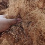 serat alami dari tumbuhan