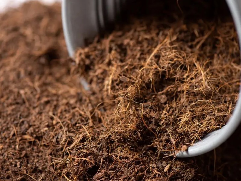 Praktik Konservasi Menggunakan Cocomesh di Sekolah