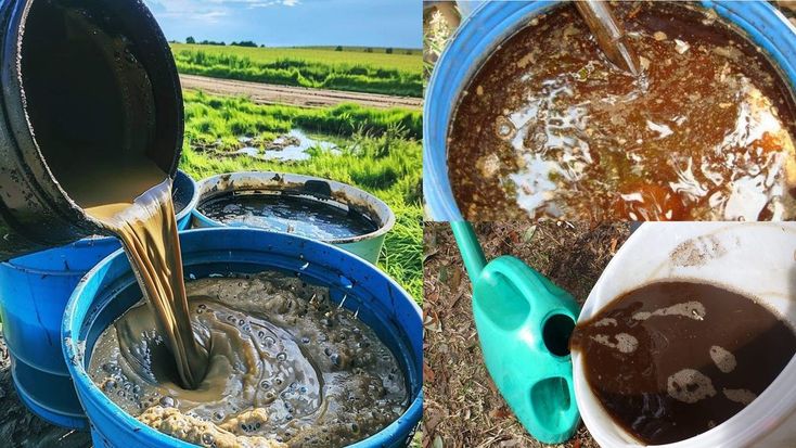 pengolahan limbah organik menjadi pupuk cair