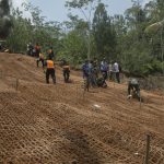 cocomesh serat kelapa untuk lahan miring