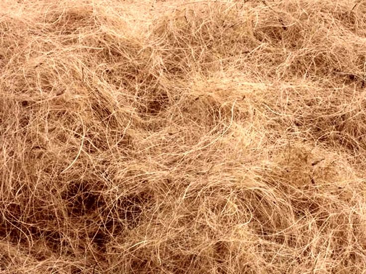 Sabut Kelapa Pelindung Permukaan Tanah