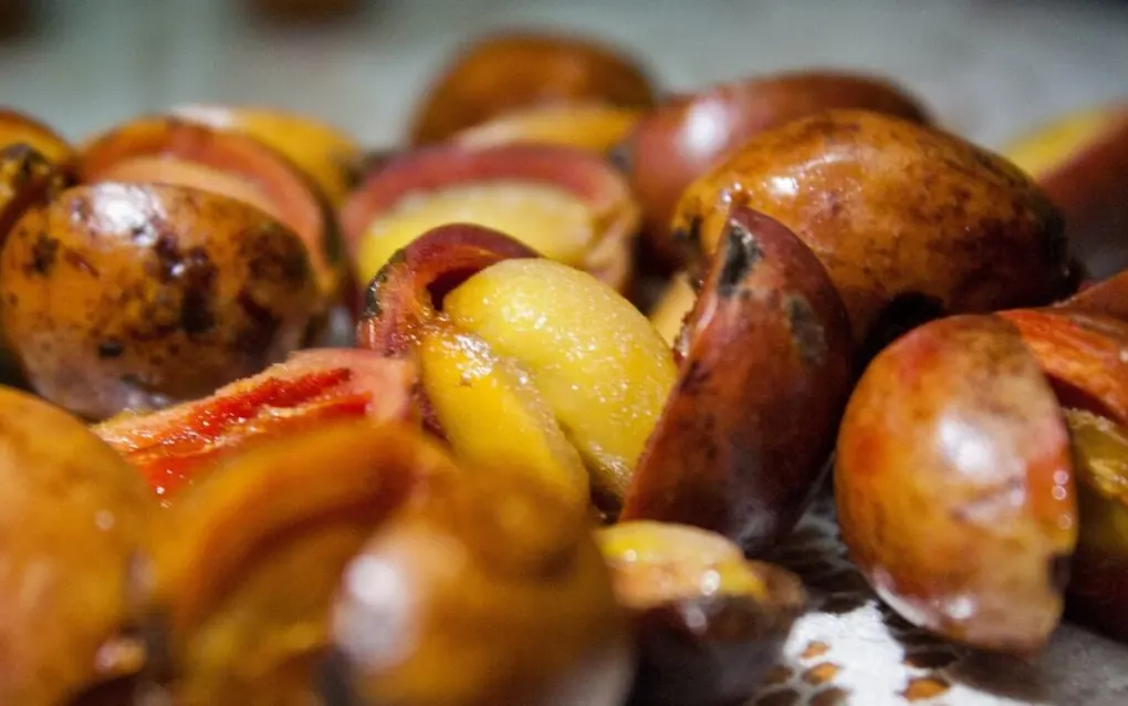 cara mengupas kopi basah cepat